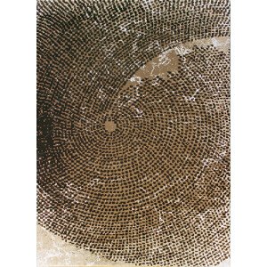 Berfin Dywany Kusový koberec Dizayn 2218 Beige Rozměry koberců: 80x150