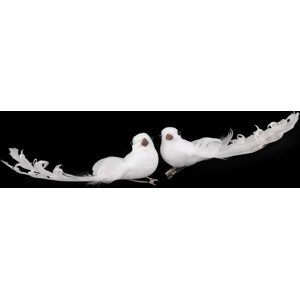 Dekorace holubice s kudrnatým peřím, s klipem Varianta: 2 bílá AB, Balení: 2 ks