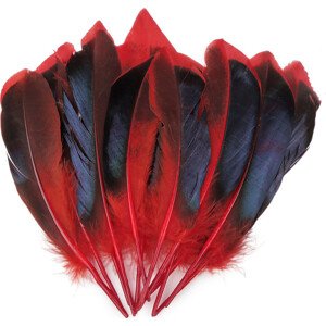 Kachní peří délka 13-15 cm Varianta: 1 červená, Balení: 1 sáček