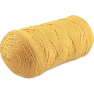Špagety ploché Ribbon 250 g Varianta: 49 (764/107) žlutá žloutková, Balení: 1 ks